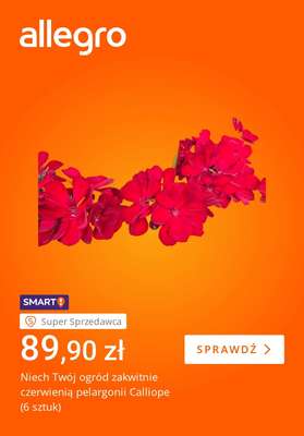 Allegro - gazetka promocyjna Twój ogród w pełni lata od piątku 29.05 do piątku 05.06 - strona 2