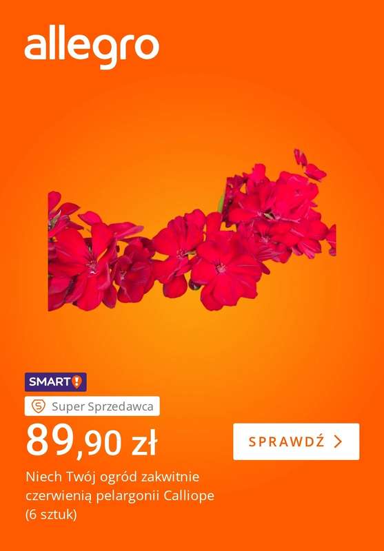 Allegro - gazetka promocyjna Twój ogród w pełni lata od piątku 29.05 do piątku 05.06 - strona 2