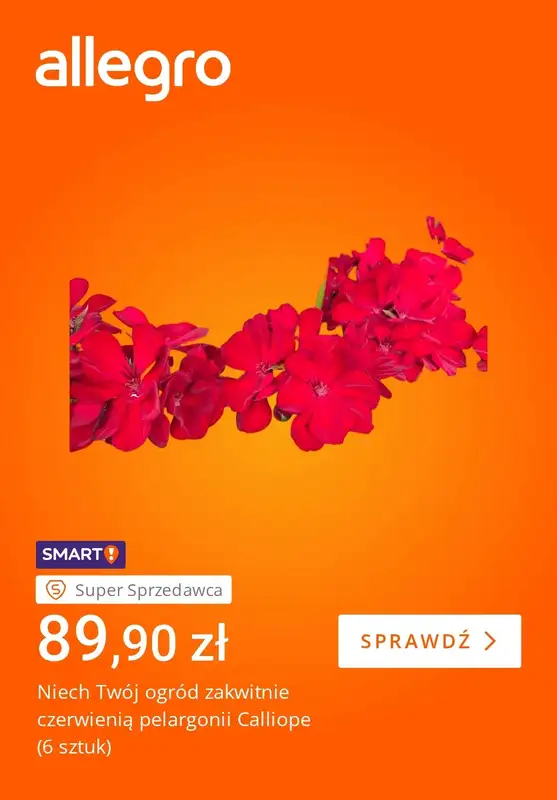 Allegro - gazetka promocyjna Twój ogród w pełni lata od piątku 29.05 do piątku 05.06 - strona 2