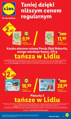 Lidl - gazetka promocyjna Oferta od czwartku od czwartku 28.05 do soboty 30.05 - strona 31