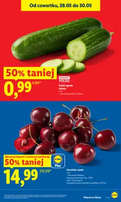 Lidl - gazetka promocyjna Oferta od czwartku od czwartku 28.05 do soboty 30.05 - strona 21
