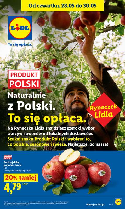 Lidl - gazetka promocyjna Oferta od czwartku od czwartku 28.05 do soboty 30.05 - strona 43