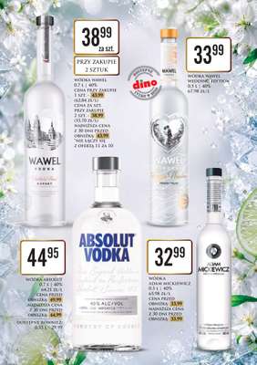 Dino - gazetka promocyjna Katalog alkoholowy od piątku 29.05 do soboty 06.06 - strona 4