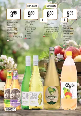 Dino - gazetka promocyjna Katalog alkoholowy od piątku 29.05 do soboty 06.06 - strona 31
