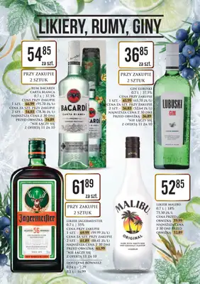 Dino - gazetka promocyjna Katalog alkoholowy od piątku 29.05 do soboty 06.06 - strona 15