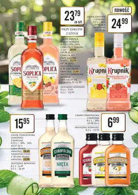 Dino - gazetka promocyjna Katalog alkoholowy od piątku 29.05 do soboty 06.06 - strona 19