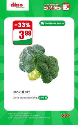 Dino - gazetka promocyjna Specjalna oferta na 29.05.2026 - promocje spoza gazetki od piątku 29.05 do piątku 29.05 - strona 6