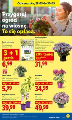 Lidl - gazetka promocyjna Oferta od czwartku od czwartku 28.05 do soboty 30.05 - strona 85