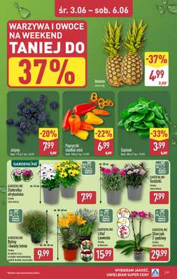 Aldi - gazetka promocyjna Pełny katalog! od poniedziałku 01.06 do soboty 06.06 - strona 31