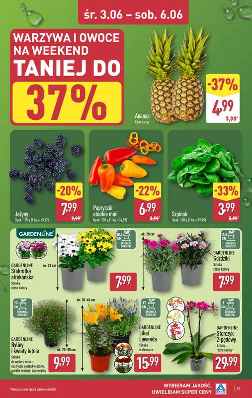 Aldi - gazetka promocyjna Pełny katalog! od poniedziałku 01.06 do soboty 06.06 - strona 31