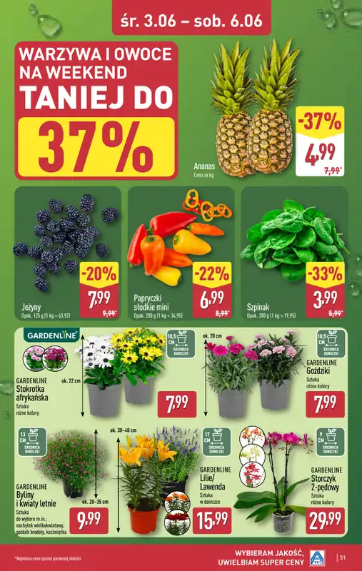 Aldi - gazetka promocyjna Pełny katalog! od poniedziałku 01.06 do soboty 06.06 - strona 31