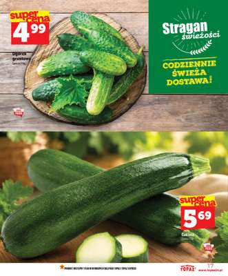 TOPAZ - gazetka promocyjna Gazetka od środy 03.06 do środy 10.06 - strona 17