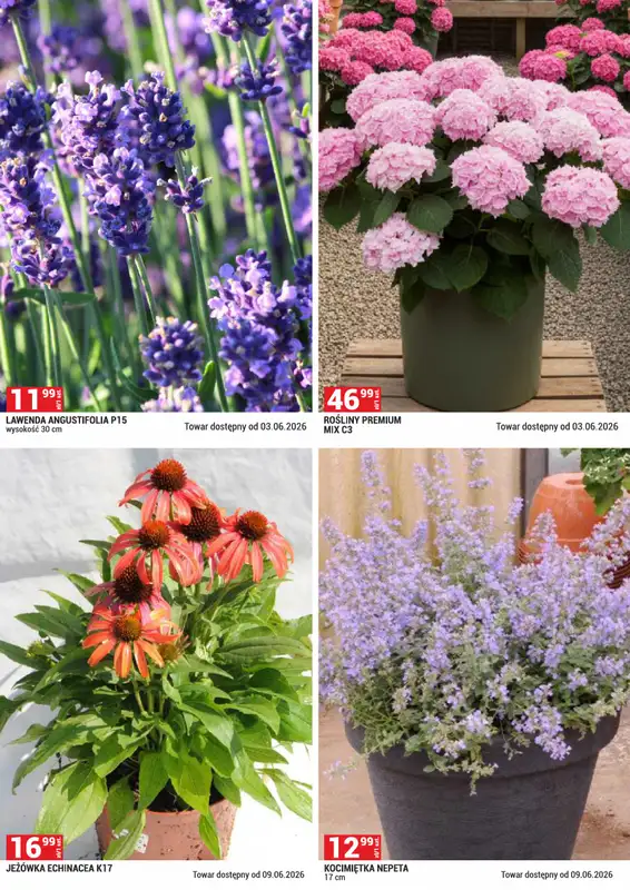Merkury Market - gazetka promocyjna Gazetka Ogród od poniedziałku 01.06 do wtorku 30.06 - strona 6