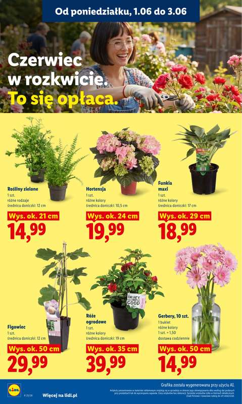 Lidl - gazetka promocyjna Oferta od poniedziałku od poniedziałku 01.06 do środy 03.06 - strona 106