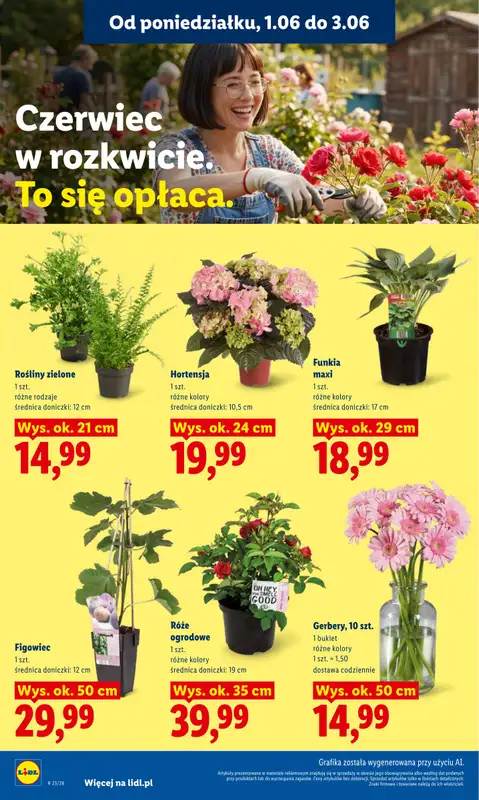 Lidl - gazetka promocyjna Oferta od poniedziałku od poniedziałku 01.06 do środy 03.06 - strona 106