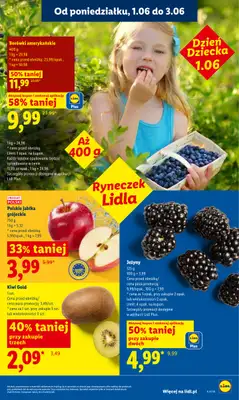 Lidl - gazetka promocyjna Oferta od poniedziałku od poniedziałku 01.06 do środy 03.06 - strona 45