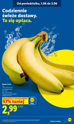 Lidl - gazetka promocyjna Oferta od poniedziałku od poniedziałku 01.06 do środy 03.06 - strona 47