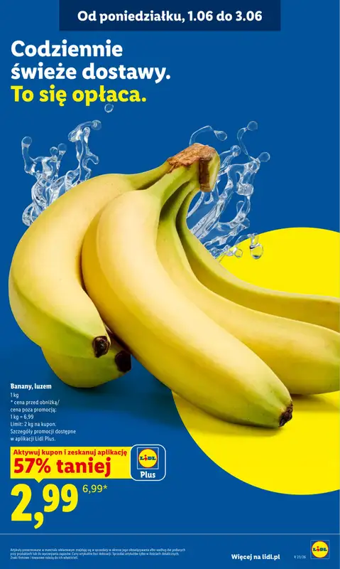 Lidl - gazetka promocyjna Oferta od poniedziałku od poniedziałku 01.06 do środy 03.06 - strona 47