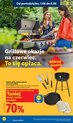 Lidl - gazetka promocyjna Oferta od poniedziałku od poniedziałku 01.06 do środy 03.06 - strona 42