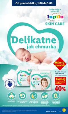 Lidl - gazetka promocyjna Oferta od poniedziałku od poniedziałku 01.06 do środy 03.06 - strona 101
