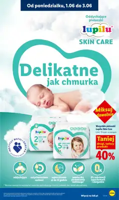 Lidl - gazetka promocyjna Oferta od poniedziałku od poniedziałku 01.06 do środy 03.06 - strona 101