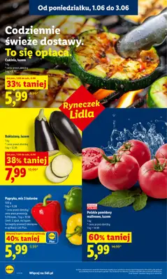 Lidl - gazetka promocyjna Oferta od poniedziałku od poniedziałku 01.06 do środy 03.06 - strona 48