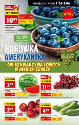 Biedronka - gazetka promocyjna Od poniedziałku od poniedziałku 01.06 do soboty 06.06 - strona 25