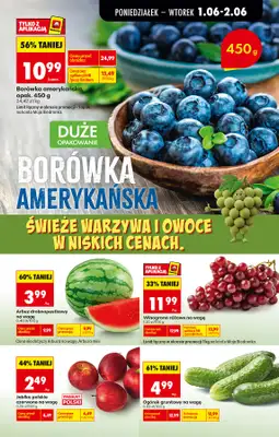 Biedronka - gazetka promocyjna Od poniedziałku od poniedziałku 01.06 do soboty 06.06 - strona 25