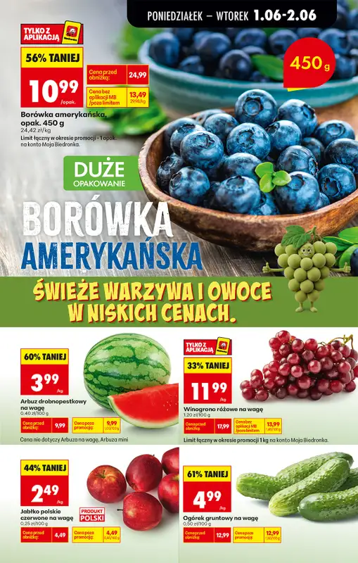 Biedronka - gazetka promocyjna Od poniedziałku od poniedziałku 01.06 do soboty 06.06 - strona 25