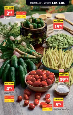 Biedronka - gazetka promocyjna Od poniedziałku od poniedziałku 01.06 do soboty 06.06 - strona 27
