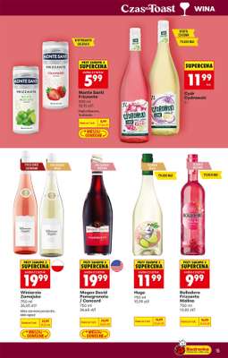 Biedronka - gazetka promocyjna Czas na Toast! od poniedziałku 01.06 do soboty 13.06 - strona 15