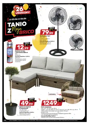 Bricomarche - gazetka promocyjna Tanio z Moje Brico od środy 03.06 do soboty 06.06 - strona 2