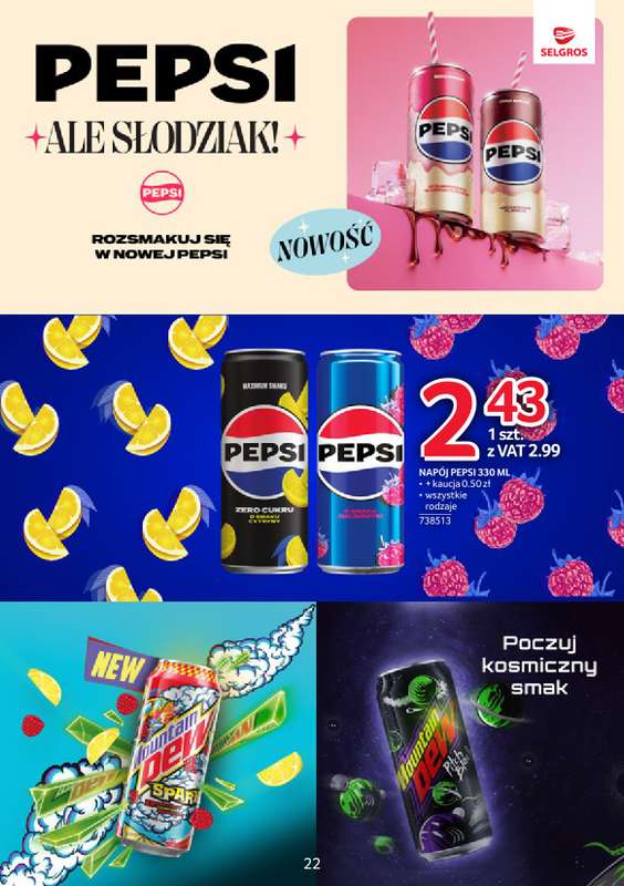 Selgros - gazetka promocyjna Katalog Markowe Produkty od wtorku 02.06 do środy 17.06 - strona 22