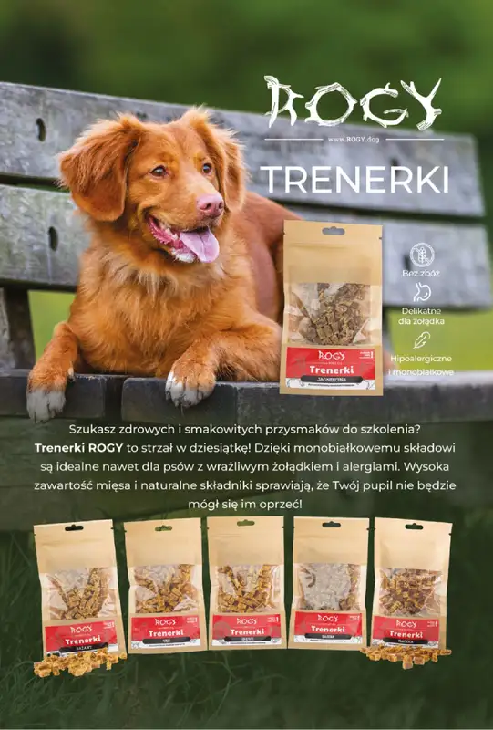 Aquael zoo - gazetka promocyjna Gazetka od poniedziałku 01.06 do wtorku 30.06 - strona 2