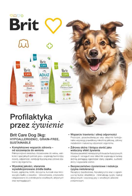 Aquael zoo - gazetka promocyjna Gazetka od poniedziałku 01.06 do wtorku 30.06 - strona 11