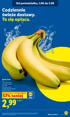 Lidl - gazetka promocyjna Oferta od poniedziałku od poniedziałku 01.06 do środy 03.06 - strona 47