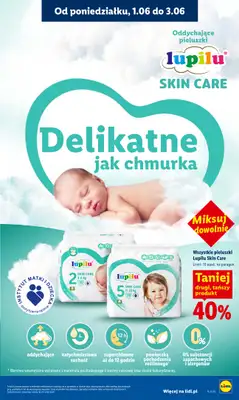 Lidl - gazetka promocyjna Oferta od poniedziałku od poniedziałku 01.06 do środy 03.06 - strona 101