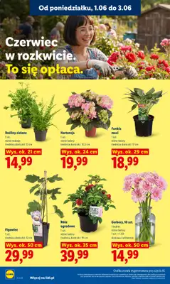 Lidl - gazetka promocyjna Oferta od poniedziałku od poniedziałku 01.06 do środy 03.06 - strona 106