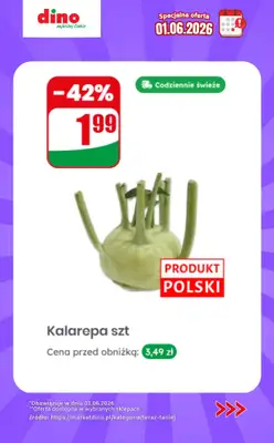 Dino - gazetka promocyjna Specjalna oferta na 01.06.2026 - promocje spoza gazetki od poniedziałku 01.06 do poniedziałku 01.06 - strona 7