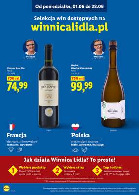 Lidl - gazetka promocyjna Karta win  do niedzieli 28.06 - strona 25