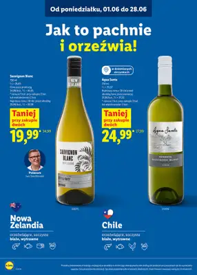 Lidl - gazetka promocyjna Karta win  do niedzieli 28.06 - strona 14