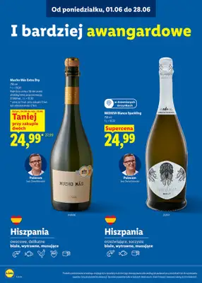 Lidl - gazetka promocyjna Karta win  do niedzieli 28.06 - strona 10