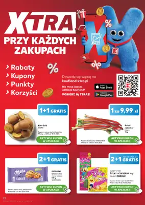 Kaufland - gazetka promocyjna Gazetka Tygodnia od środy 03.06 do środy 10.06 - strona 22