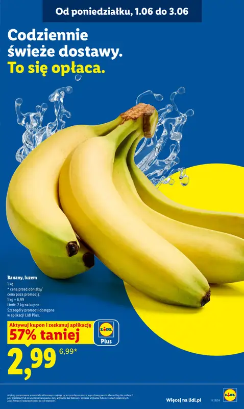 Lidl - gazetka promocyjna Oferta od poniedziałku od poniedziałku 01.06 do środy 03.06 - strona 47