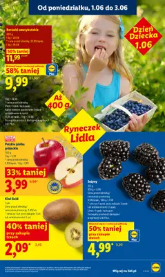 Lidl - gazetka promocyjna Oferta od poniedziałku od poniedziałku 01.06 do środy 03.06 - strona 45