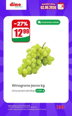 Dino - gazetka promocyjna Specjalna oferta na 02.06.2026 - promocje spoza gazetki od wtorku 02.06 do wtorku 02.06 - strona 7