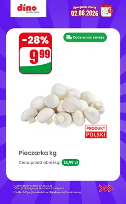 Dino - gazetka promocyjna Specjalna oferta na 02.06.2026 - promocje spoza gazetki od wtorku 02.06 do wtorku 02.06 - strona 4