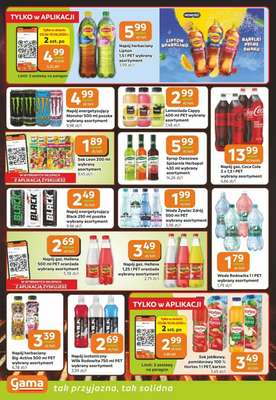 Gama - gazetka promocyjna Gazetka od wtorku 02.06 do wtorku 16.06 - strona 10