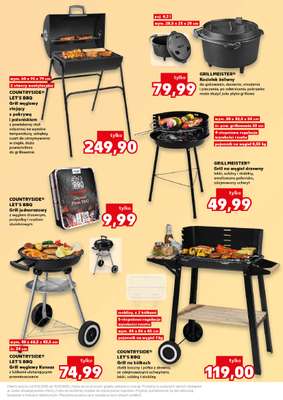 Kaufland - gazetka promocyjna Oferta Kaufland - Ogród od środy 03.06 do środy 10.06 - strona 17