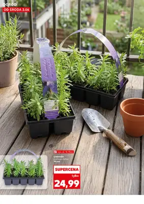 Kaufland - gazetka promocyjna Oferta Kaufland - Ogród od środy 03.06 do środy 10.06 - strona 10